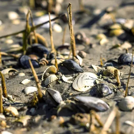 8997-orsted-rougsovej-326-b Casa vacanze