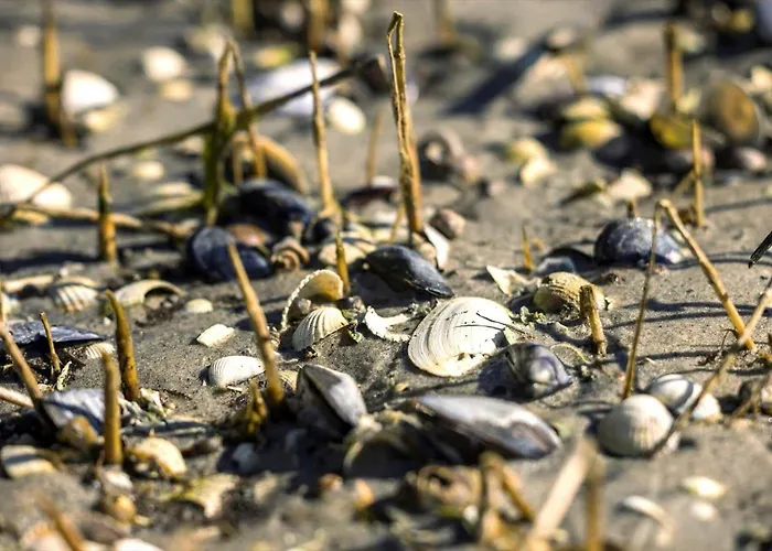 8997-orsted-rougsovej-326-b Hébergement de vacances